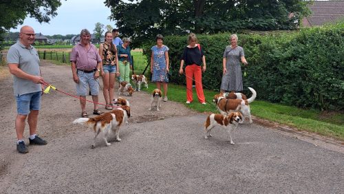 Reünie kooikernest in Meijel 2