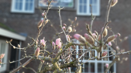 Rouw en verlies cafe dorpsontmoeting meijel