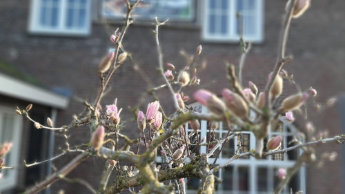 Rouw en verlies cafe dorpsontmoeting meijel