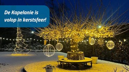 Sfeervolle-Kribkes-by-Night-in-de-tuin-van-De-Kapelanie