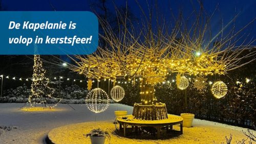 Sfeervolle-Kribkes-by-Night-in-de-tuin-van-De-Kapelanie