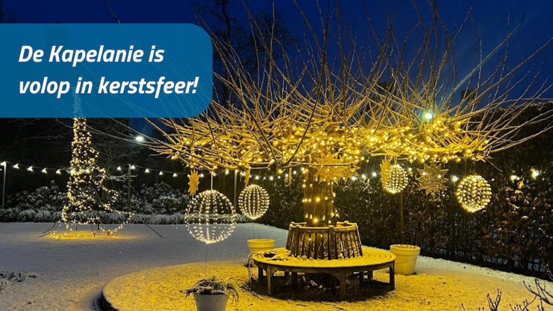 Sfeervolle-Kribkes-by-Night-in-de-tuin-van-De-Kapelanie