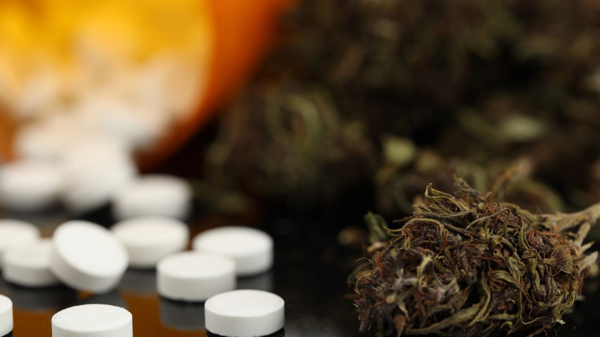 Foto | marketing.lasers@ya.ru - depositphotos.com