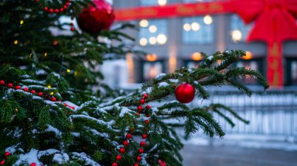 Foto | Yelena Skripnikova - depositphotos.com