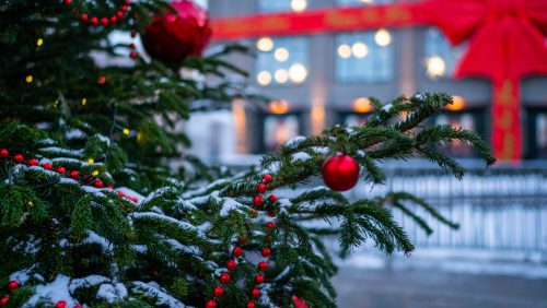 Foto | Yelena Skripnikova - depositphotos.com