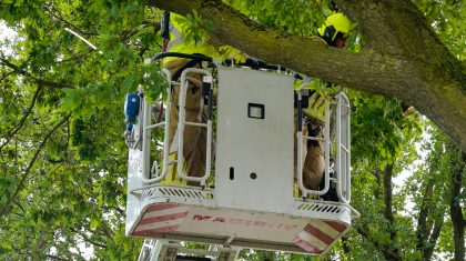 Stormschade-Heerweg-Nederweert-4