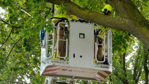 Stormschade-Heerweg-Nederweert-4