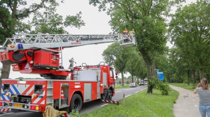 Stormschade Randweg Meijel-6