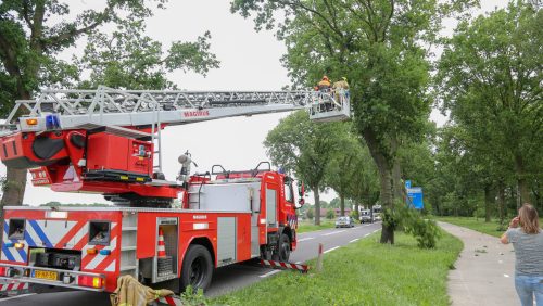 Stormschade Randweg Meijel-6