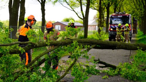 Stormschade Vieruitersten Meijel-6