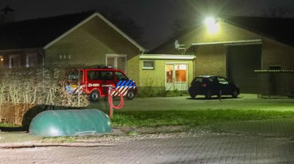 Varkens in gierput Vieruitersten Meijel-1