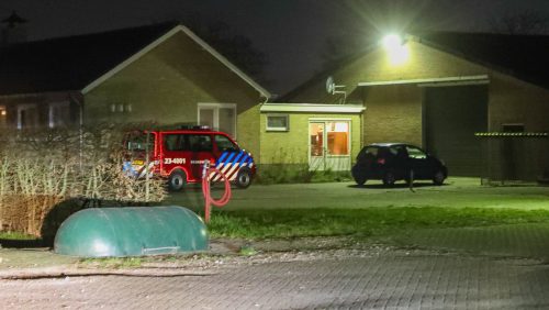 Varkens in gierput Vieruitersten Meijel-1