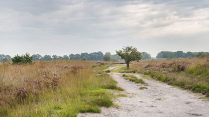 Vesting en Belfort de Vossenberg Meijel