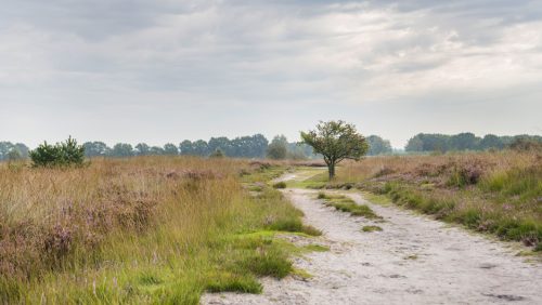 Vesting en Belfort de Vossenberg Meijel