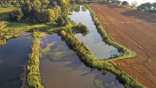 Vogelwandeling-IVN-Helden-in-Weerdbeemden-Kessel-Eik