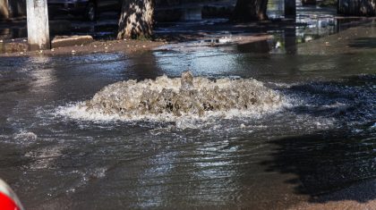 Foto | ALesik - depositphotos.com