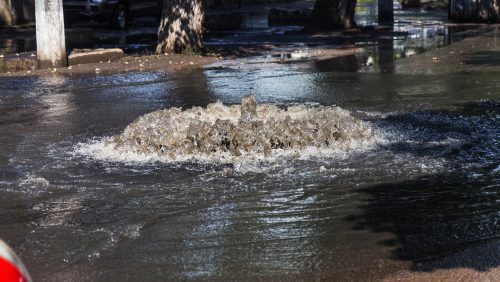 Foto | ALesik - depositphotos.com