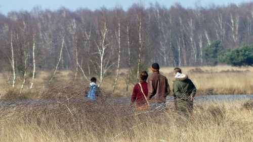 Winterse Stiltewandeling met Carnaval in Nationaal Park De Groote Peel