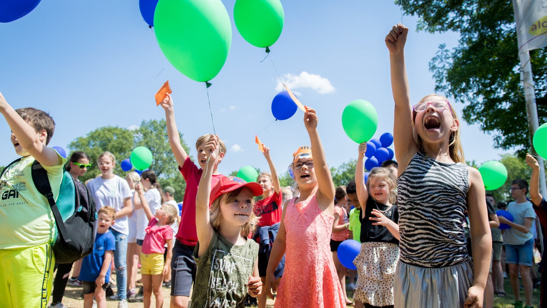Zizo-festival