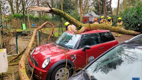 stormschade boom op auto 01-01-2025 - JL-7